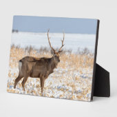 雪原のシカスタッグ |日本 フォトプラーク (側面)