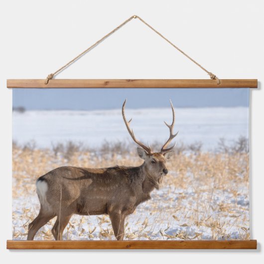 雪原のシカスタッグ |日本 吊り下げ型タペストリー (正面)