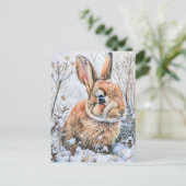 雪原のリトルヘア。ラビットバニー ポストカード (スタンド正面)