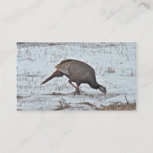 雪原の野生のトルコ 名刺 (裏面)