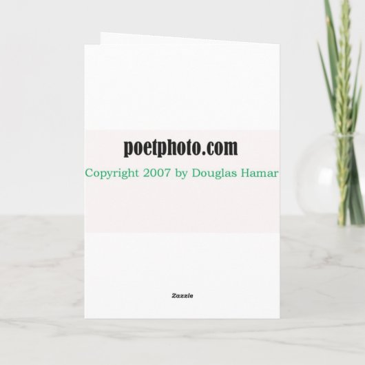 雪合戦 シーズンカード (裏面)