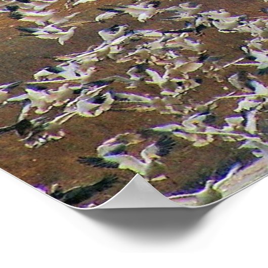 雪姫が飛ぶ！ ポスター (角)