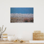 雪姫が飛ぶ！ ポスター (キッチン)