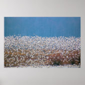 雪姫が飛ぶ！ ポスター (正面)