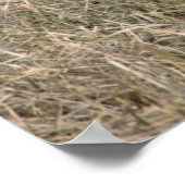 雪姫ポスター ポスター (角)