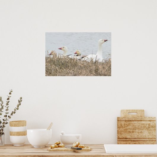 雪姫ポスター ポスター (キッチン)