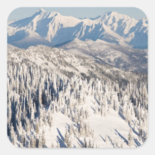 雪山と木々の風光明媚な景色。 スクエアシール