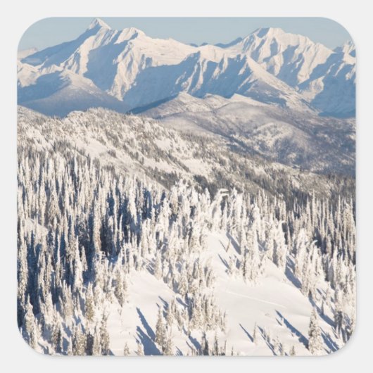 雪山と木々の風光明媚な景色。 スクエアシール (正面)