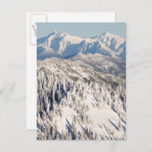 雪山と木々の風光明媚な景色。 ポストカード (正面/裏面)