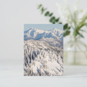 雪山と木々の風光明媚な景色。 ポストカード (スタンド正面)