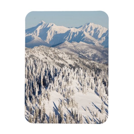 雪山と木々の風光明媚な景色。 マグネット (縦)