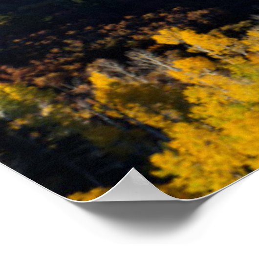 雪山と木 ポスター (角)