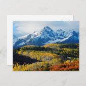 雪山と木 ポストカード (正面/裏面)