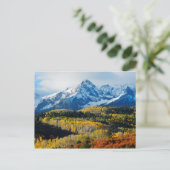 雪山と木 ポストカード (スタンド正面)