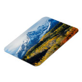 雪山と木 マグネット (左側)