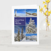 雪山バラ写真集 カード (黄色い花)