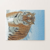 雪山動物写真虎の冬 ジグソーパズル (横)