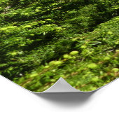 雪崩湖II氷河の国立公園 ポスター (角)