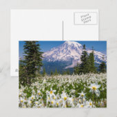 雪崩百合と山レイニア2 ポストカード (正面/裏面)