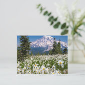 雪崩百合と山レイニア2 ポストカード (スタンド正面)