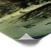 雪幽霊のよく出るの家， 1848 ポスター (角)