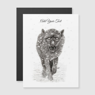 雪怒に黒い狼、野生の冬