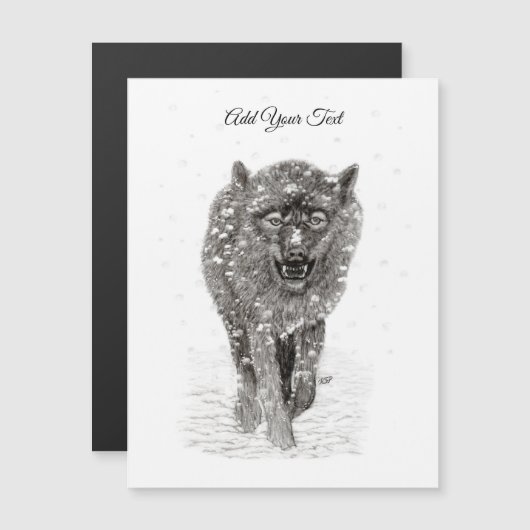 雪怒に黒い狼、野生の冬 (正面/裏面)