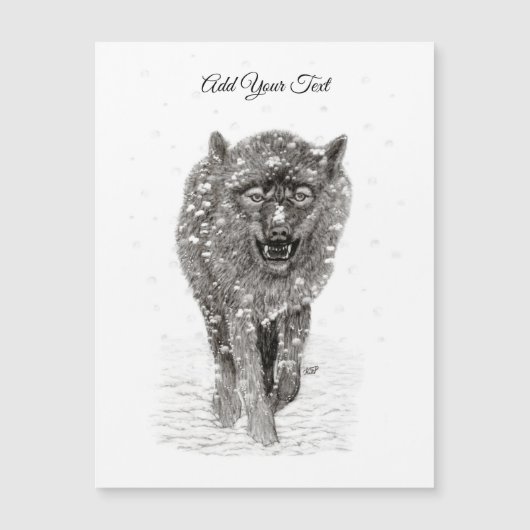 雪怒に黒い狼、野生の冬 (正面)