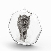 雪怒に黒い狼、野生の冬 フォトブロック (右)