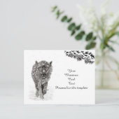 雪怒に黒い狼、野生の冬 ポストカード (スタンド正面)