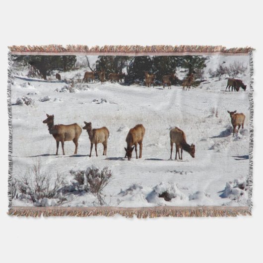 雪投げ毛布 スローブランケット (正面)