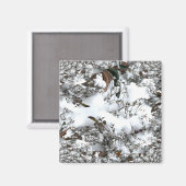 雪抽象芸術 マグネット (正面/裏面)
