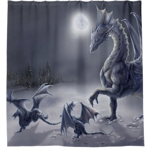 雪日のシャワー・カーテン シャワーカーテン (正面)