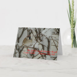 雪景色と聖なる書物、 経典 カード