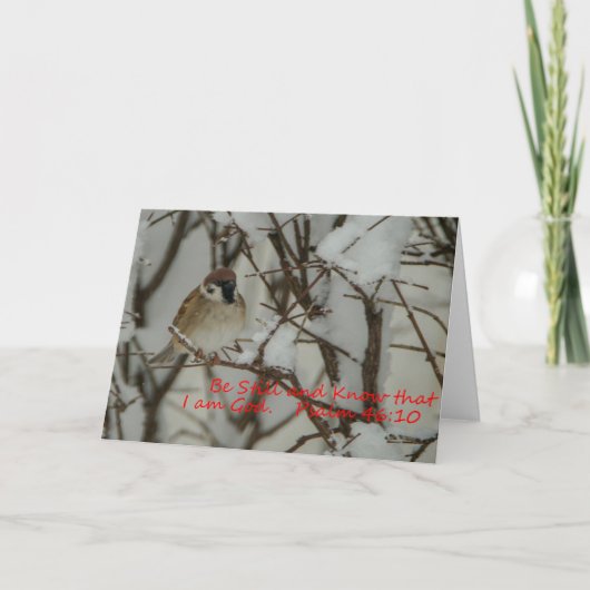 雪景色と聖なる書物、 経典 カード (正面)