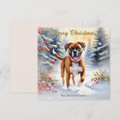 雪景色のボクサー犬 メリークリスマス シーズンカード (正面/裏面)