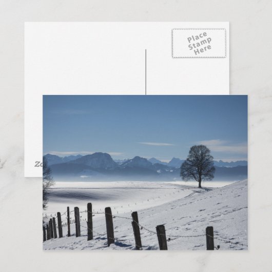 雪景色の写真 ポストカード (正面/裏面)