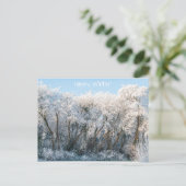 雪景色の冬写真 ポストカード (スタンド正面)
