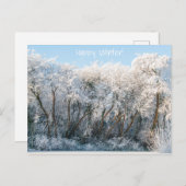 雪景色の冬写真 ポストカード (正面/裏面)