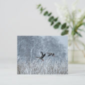 雪景色の飛んでいるポストカードにグレーラグゲーゼ ポストカード (スタンド正面)