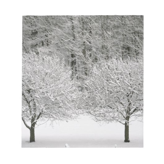雪景色 ノートパッド (正面)