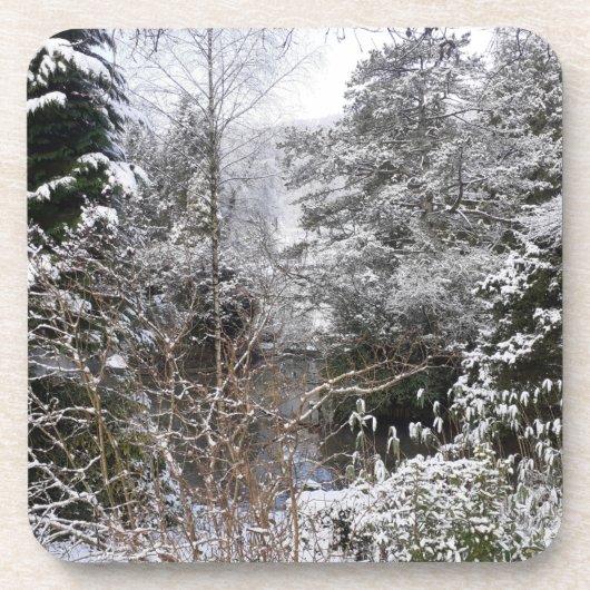 雪木懸命プラスチックコースター コースター (正面)