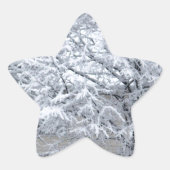 雪木 星シール (正面)