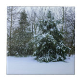 雪杉 タイル (正面)