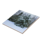 雪杉 タイル (側面)