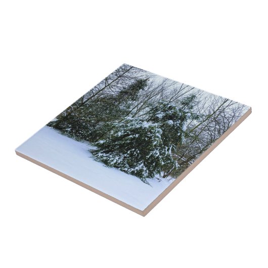 雪杉 タイル (側面)