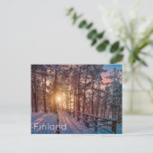 雪松林の夕日 ポストカード (スタンド正面)