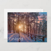 雪松林の夕日 ポストカード (正面/裏面)