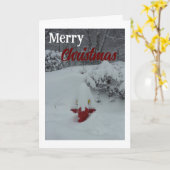 雪格言消火栓クリスマス カード (黄色い花)