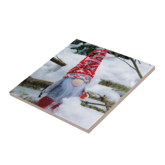 雪格言04 タイル (側面)